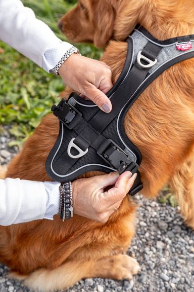 Magnetic Belka Comfort