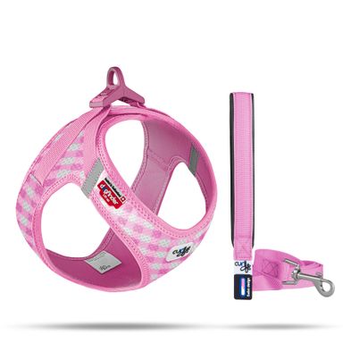 Puppy curli Clasp