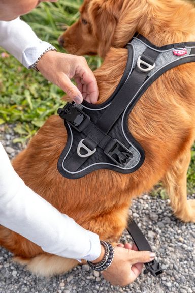 Magnetic Belka Comfort