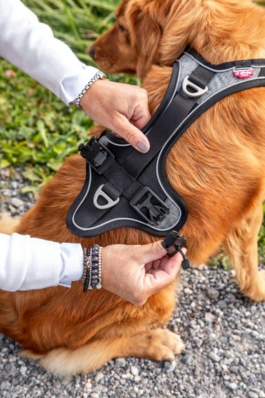 Magnetic Belka Comfort