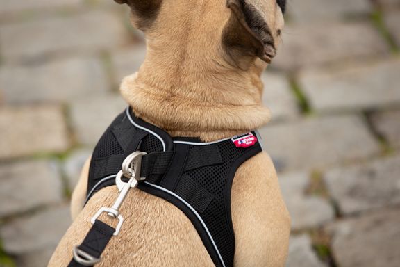 Magnetic Vest Air Mesh